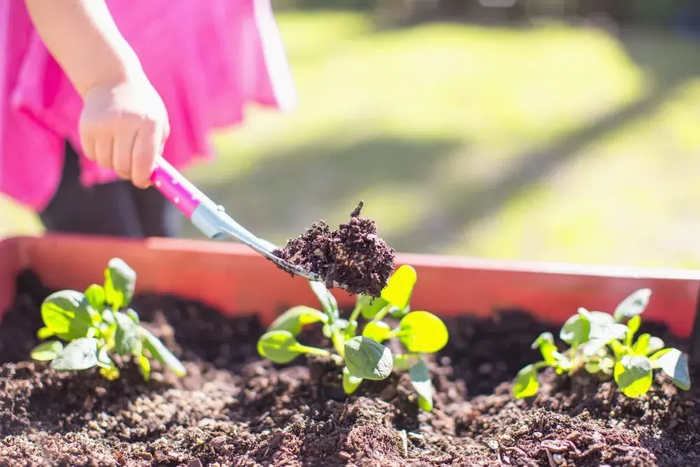 Essential Soil Mixes for Raised Beds and Vegetable Gardens