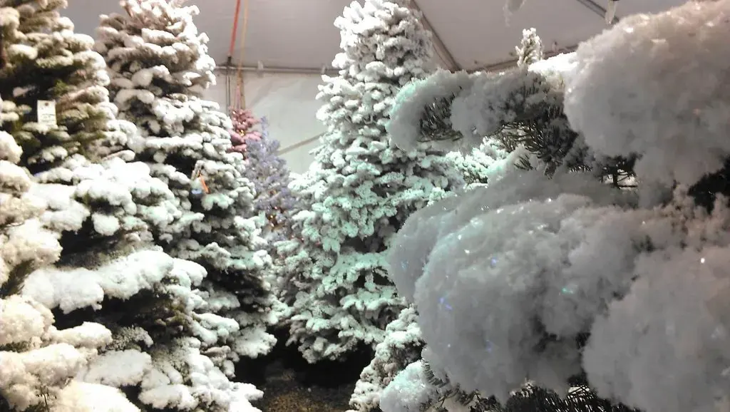 Find Your Christmas Tree at G&L Bark!