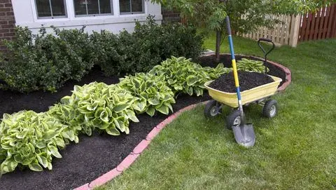 How to Understand the Best Mulch