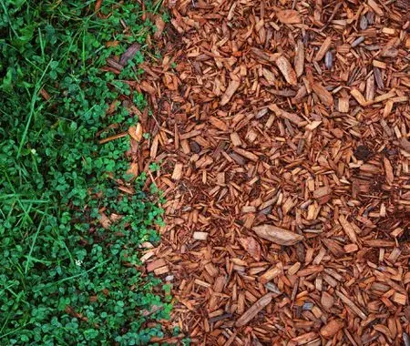 Learn About Mulching