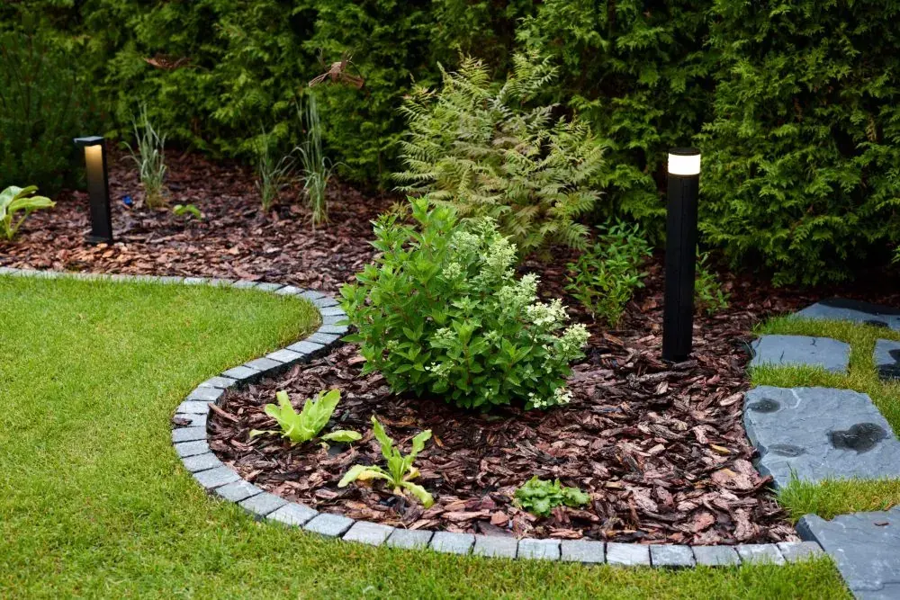 Maximizing Moisture: Best Mulch & Bark Strategies for a PNW Summer