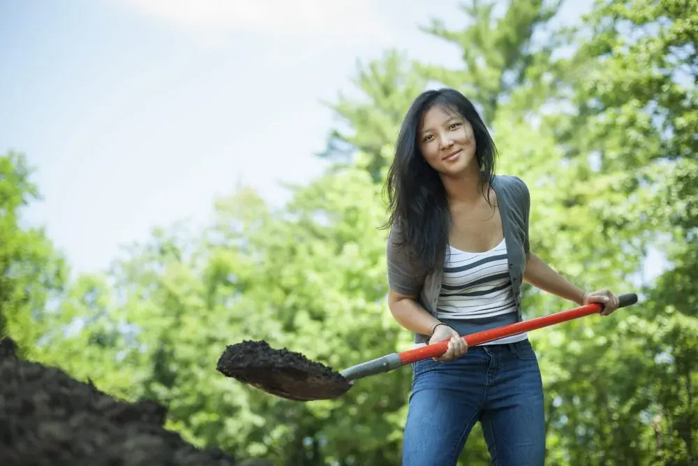Top Mulching Tips to Protect Your Summer Garden