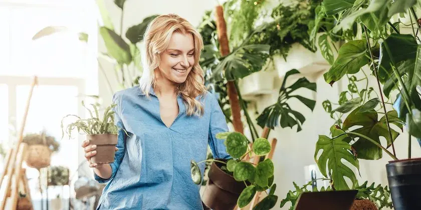 Why Keeping Houseplants is Good for You