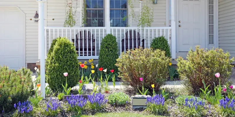 Winter to Spring Landscape: 10 Steps to Transition for Warmer Days