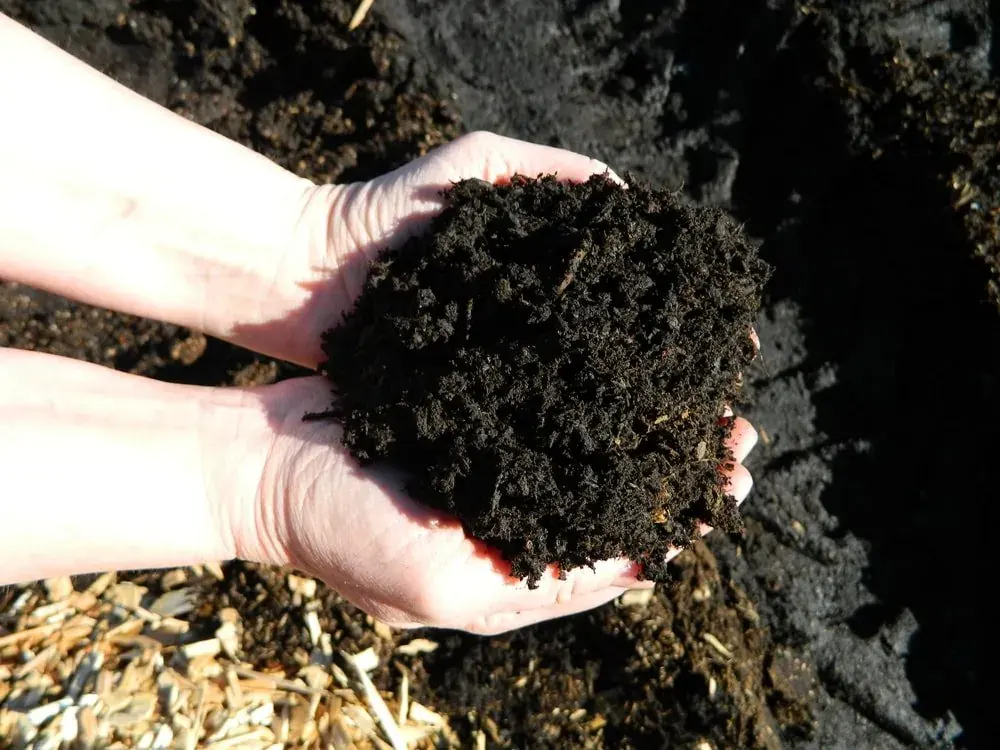 Cedar Grove Compost landscape material