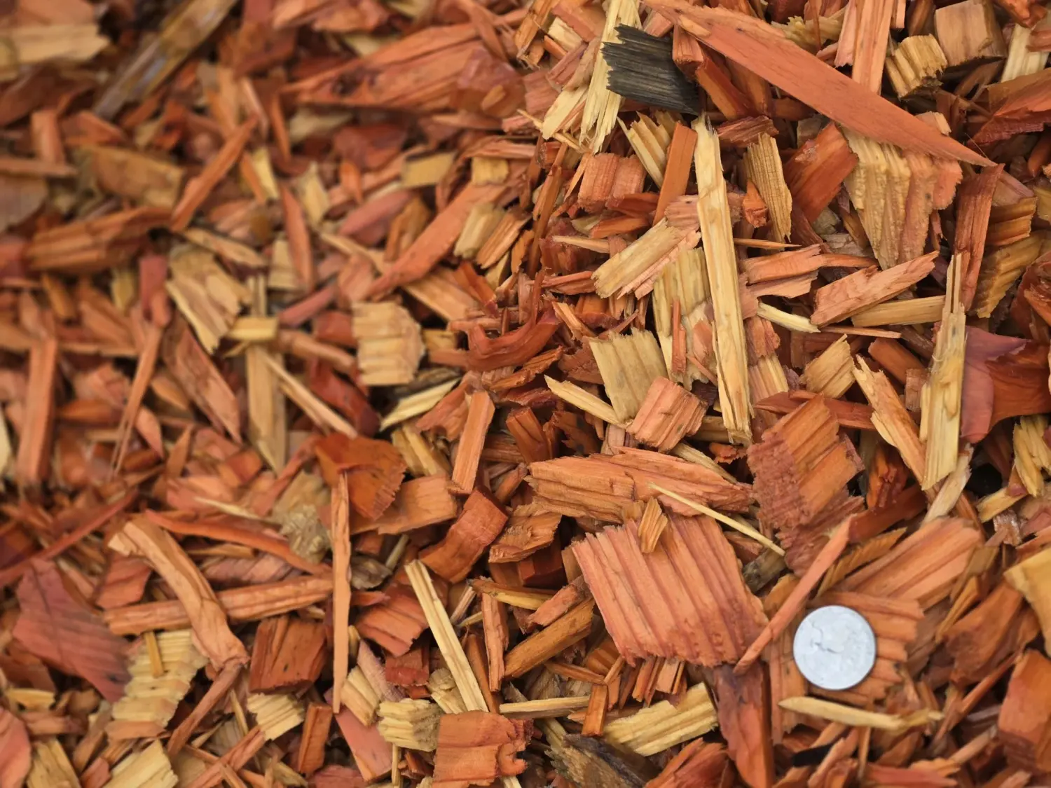 Cedar Play Chips landscape material