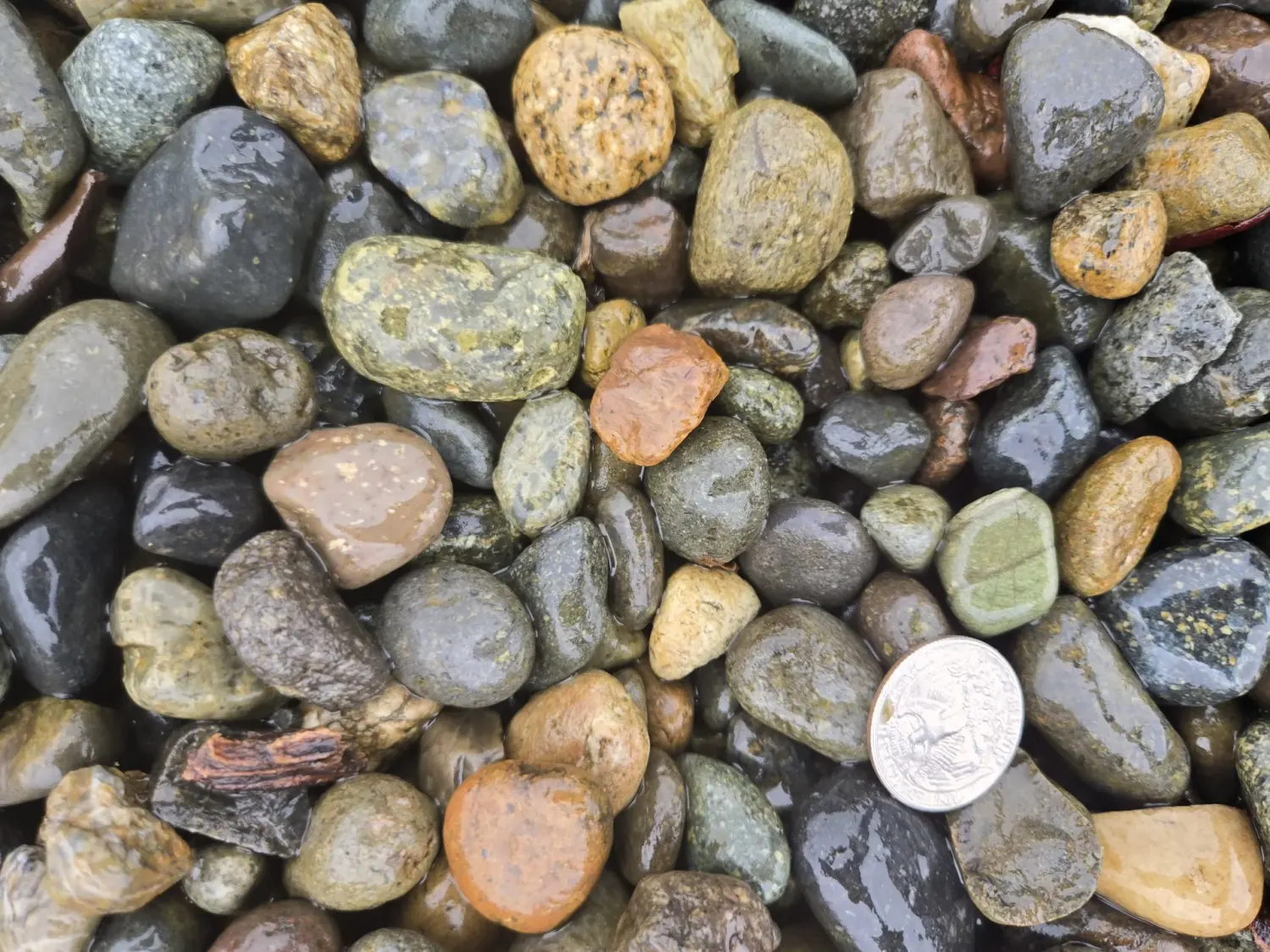 1 1/2 Drain Rock landscape material
