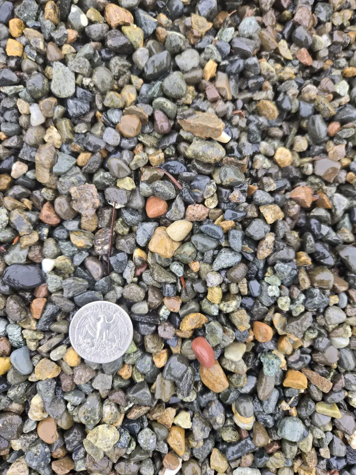 Pea Gravel landscape material