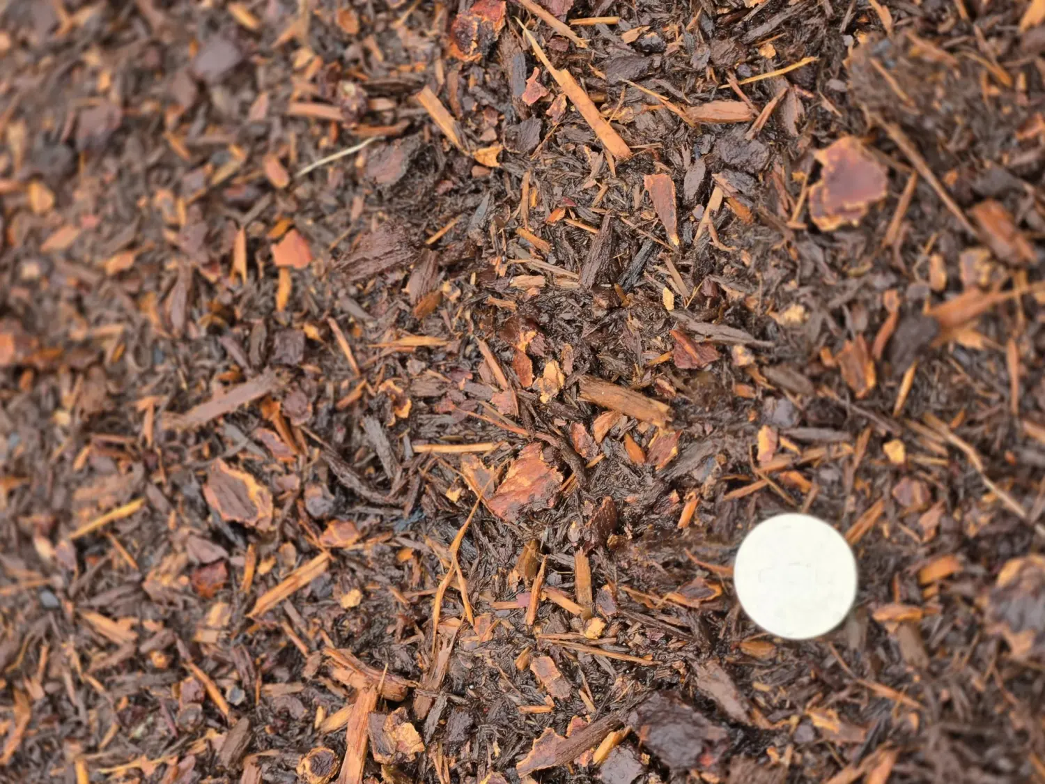 Red Fine Bark
